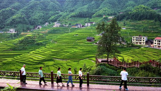 湖南新化 芭蕉山梯田 秋景 旅游 赏秋 梯田美景