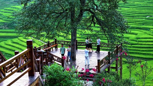 湖南新化 芭蕉山梯田 秋景 旅游 赏秋 梯田美景
