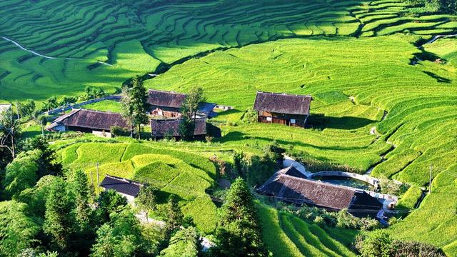 湖南新化 芭蕉山梯田 秋景 旅游 赏秋 梯田美景