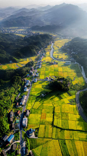 初秋 晨曦 田园 村庄 丰收 美景