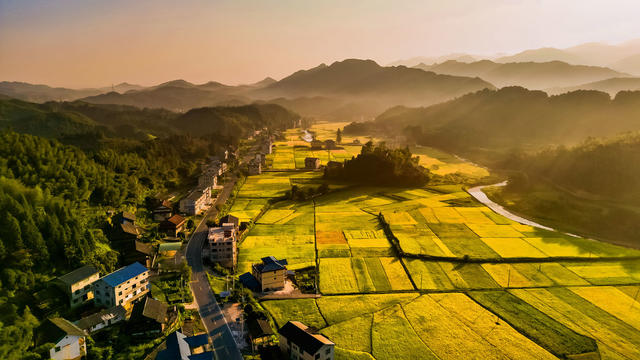 初秋 晨曦 田园 村庄 丰收 美景