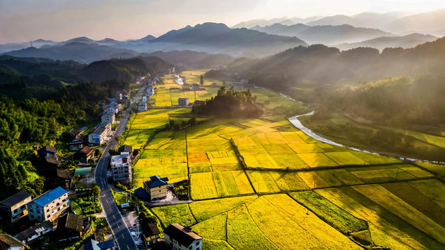 初秋 晨曦 田园 村庄 丰收 美景