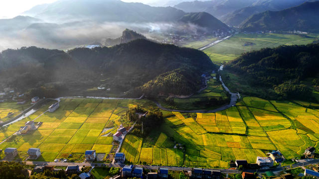 初秋 晨曦 田园 村庄 丰收 美景