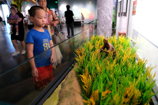 抓住，暑假尾巴 ，弘扬，农耕文化