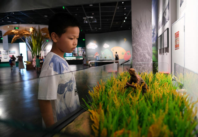 抓住，暑假尾巴 ，弘扬，农耕文化