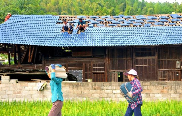 屋顶  整修 安全 