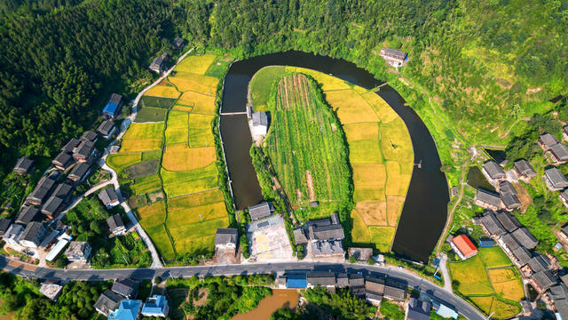 金秋 侗寨 田园 村庄 河流 山林 美丽