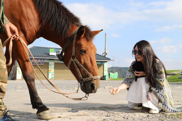 南山牧场  游客  凉风习习  