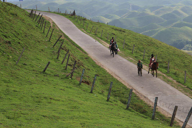 南山牧场  游客  凉风习习  