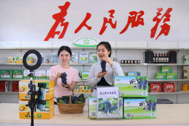 瓜果丰收   云端卖货