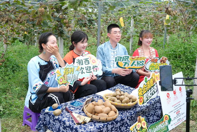 瓜果丰收   云端卖货