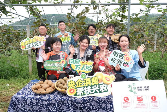 瓜果丰收   云端卖货