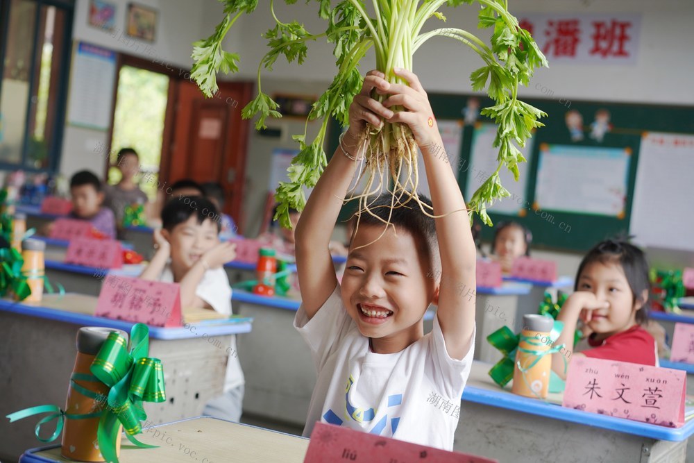 开学季 开学报到 你好，一年级