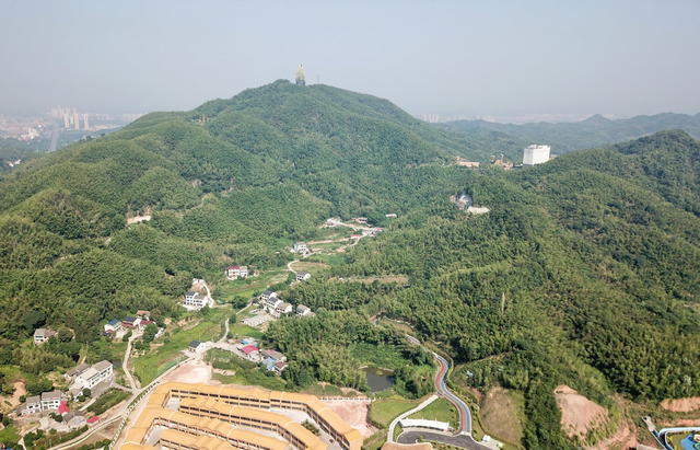 竹囗产业囗富囗桃江