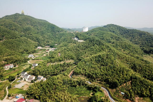 竹囗产业囗富囗桃江