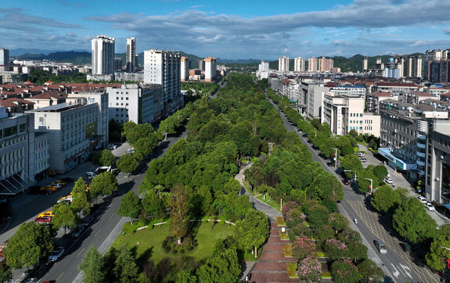 城市绿道紫薇开