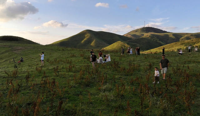 享受高山生态牧场的夏季清凉.