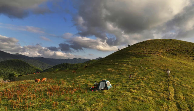 享受高山生态牧场的夏季清凉.