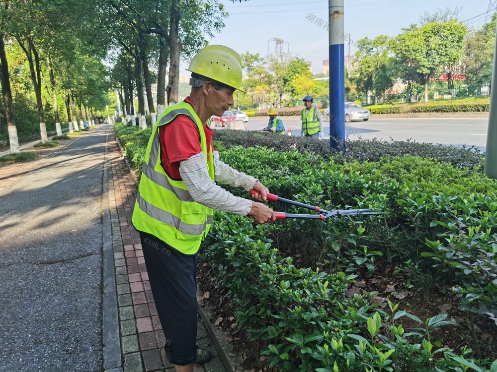 高温  绿化  清凉