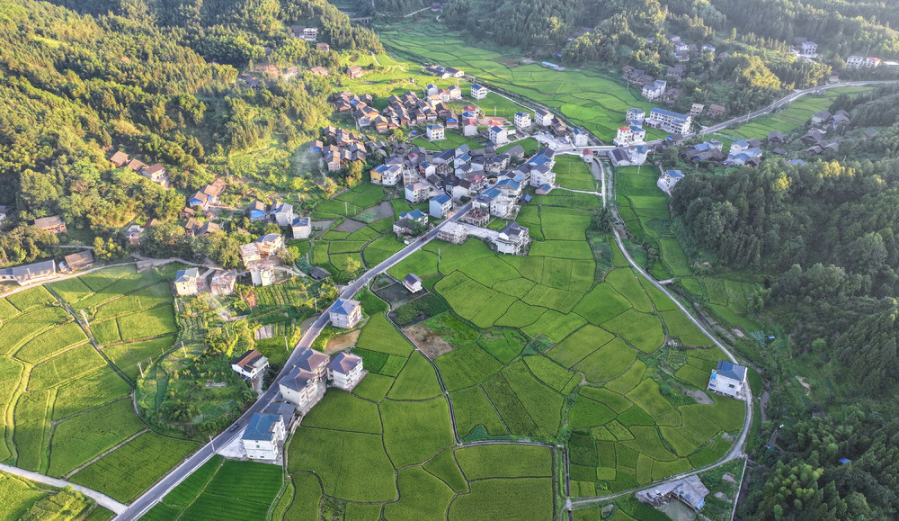 夏日乡村