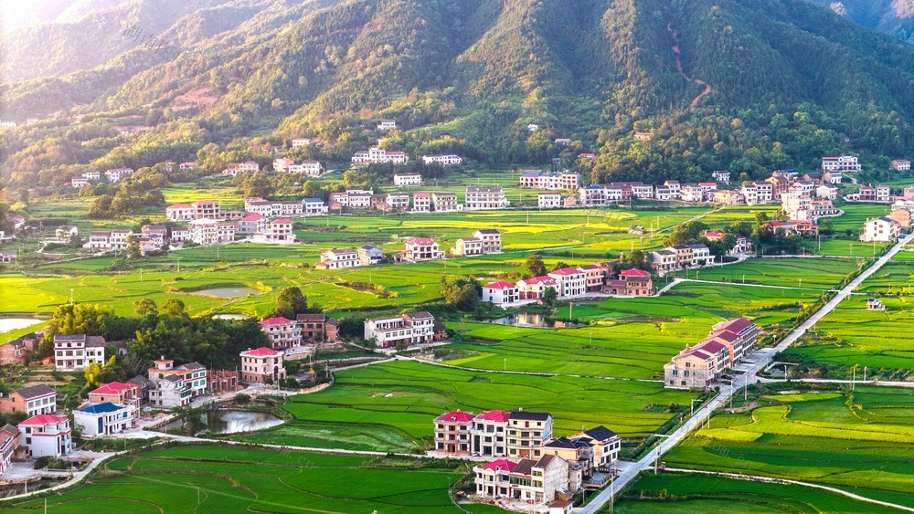 生态  环境  田园  乡村振兴  道路  和美乡村