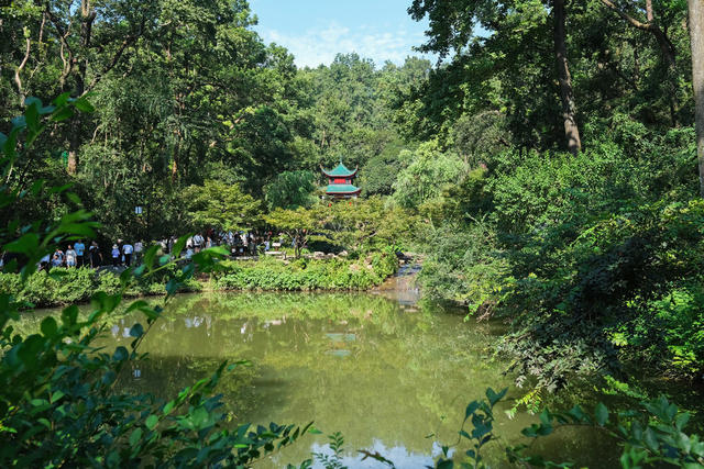 爱晚亭，游人如织