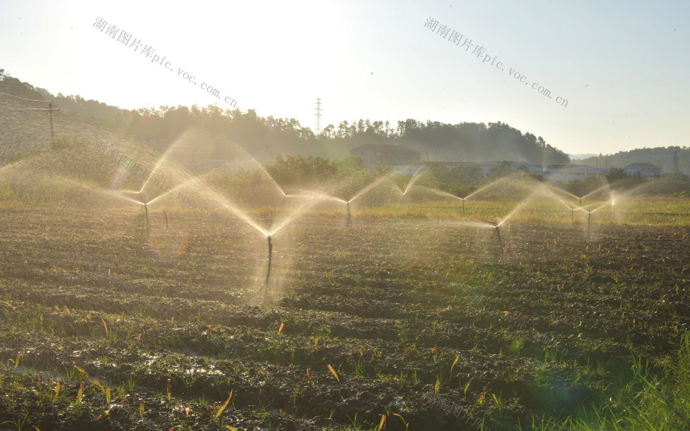 抗旱  节水灌溉  农业工作  中药材  示范基地  农民增收  合作社