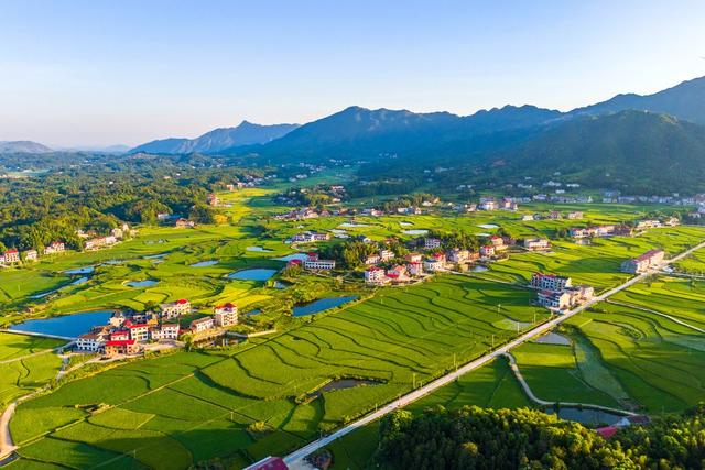 乡村  田园  生态环境  立秋  节气
