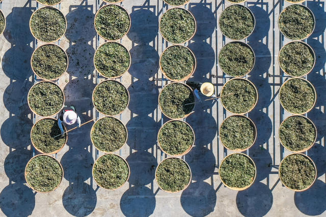药材 瑶族药浴 非物质文化遗产 非遗 中药 瑶浴 晾晒