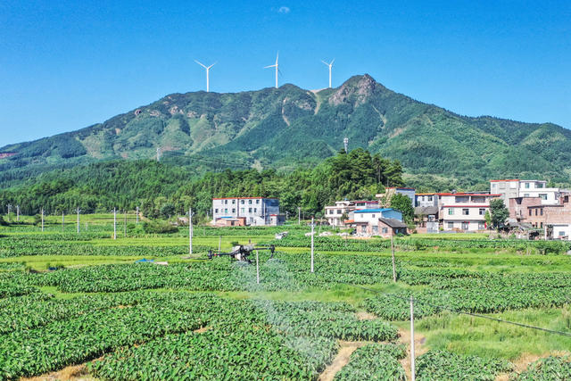 管护 飞防 植保无人机 农技 农业