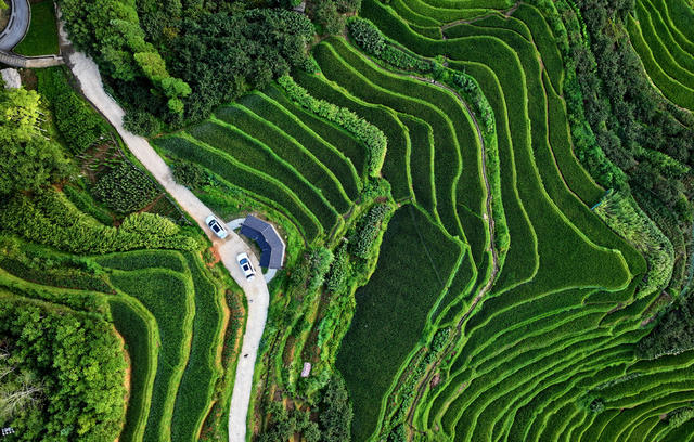 湖南桂东 美丽乡村 画 禾坪村