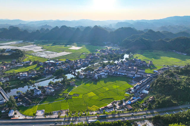 稻田 田园 乡村 江南 小镇 立秋 成熟