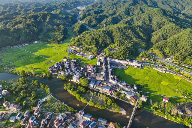 稻田 田园 乡村 江南 小镇 立秋 成熟
