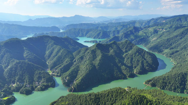 水库 生态