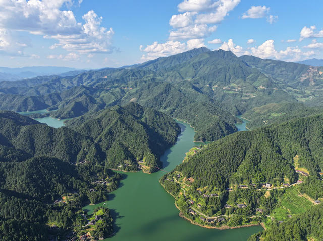水库 生态