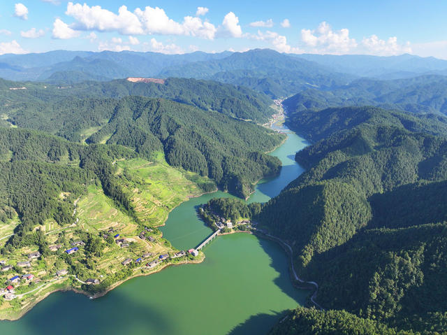 水库 生态