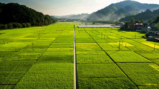 通道 侗乡 初秋 田园 美景 如画