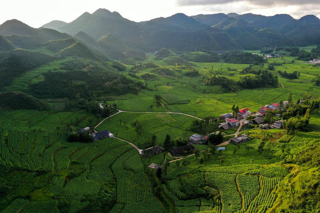 湖南，龙山，乡村，如画，绿色，海洋，勃勃生机，阳光，童话世界