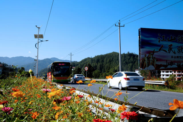 湖南桂东 美丽公路 车 花 行 格桑花