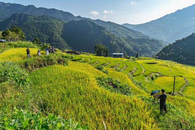农旅融合  塘家梯田 