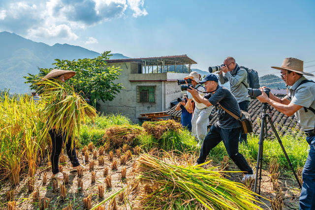 农旅融合  塘家梯田 
