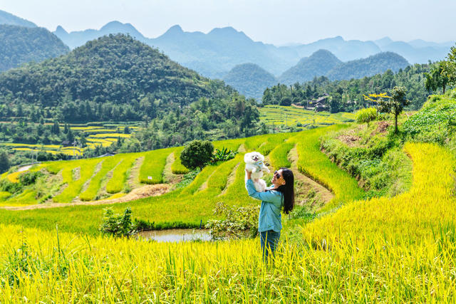 农旅融合  塘家梯田 