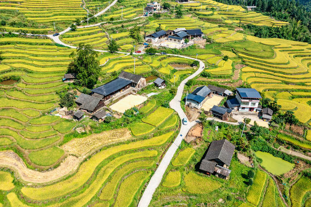农旅融合  塘家梯田 