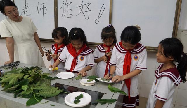 教师节 绿叶剪影
