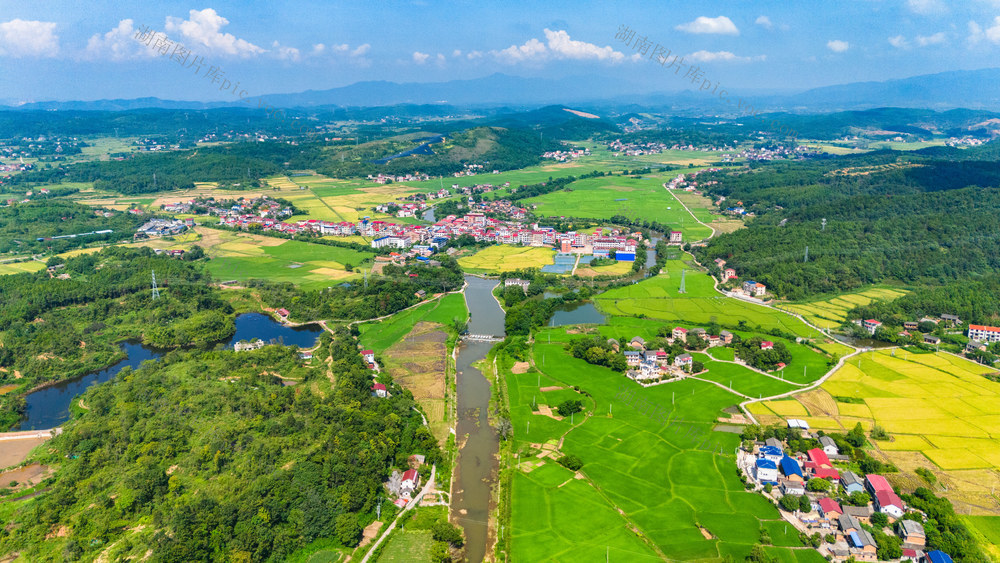 金秋田园 景美如画 