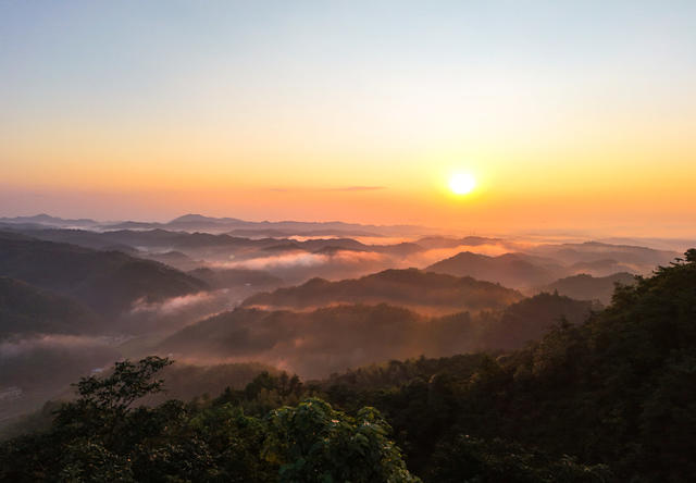 森林  公园  生态  旅游  自然  风景