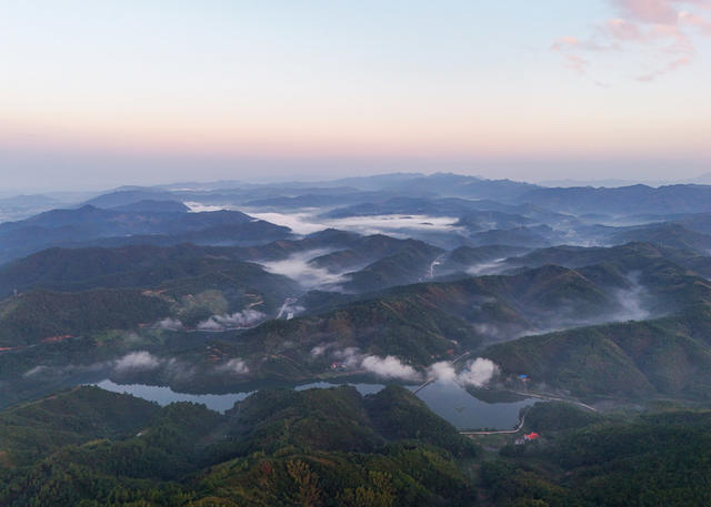 森林  公园  生态  旅游  自然  风景