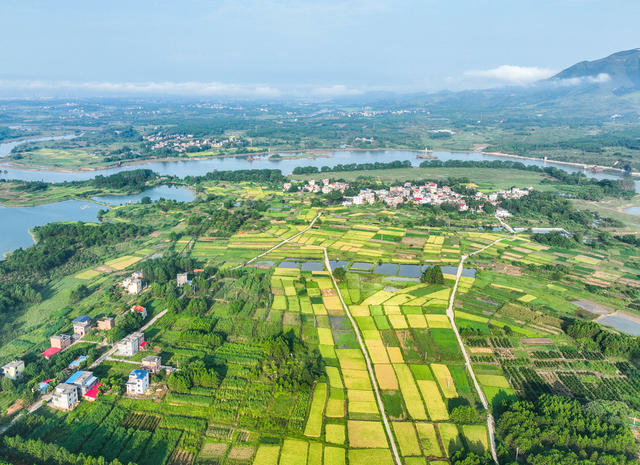 田园
道县
晚稻