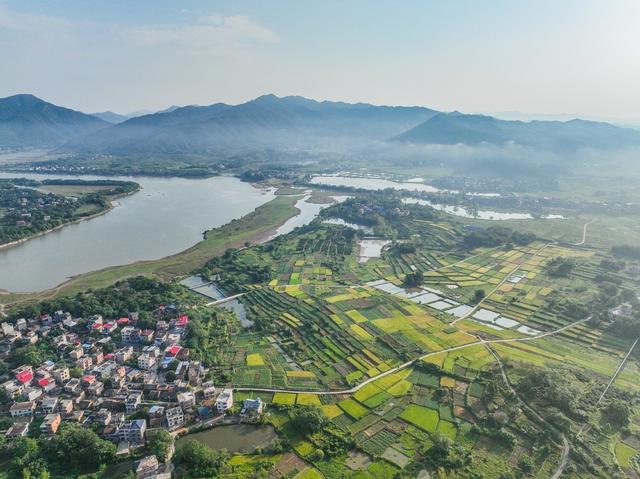 田园
道县
晚稻