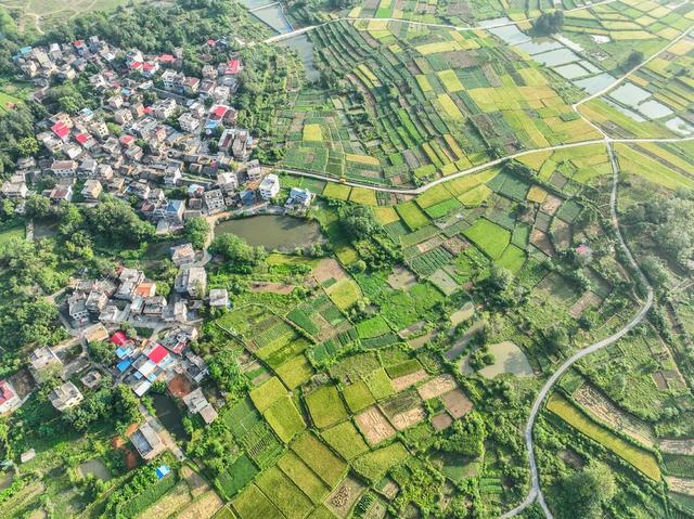 田园
道县
晚稻